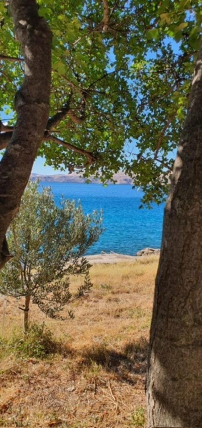 Apartments Neno - 20 M From Beach Ribarica Buitenkant foto